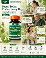 Comprimés d'extrait de Ginkgo Biloba végétaliens sans OGM 125 mg pour le soutien de la mémoire, marque privée OEM ODM