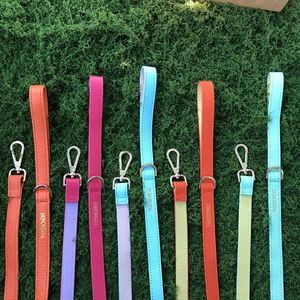 PAWSMOMENT Echtes Leder Hundehalsband mit Leine und Kotbeutelhalter, Weich und Bequem für Haustiere, Praktisches und Einfaches Hundehalsband und Leine-Set - Product Image 2