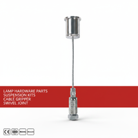 Kit de suspension lumineuse en cuivre personnalisable avec câble métallique et clips, finition nickel/chrome, taille 3000 mm pour usage extérieur