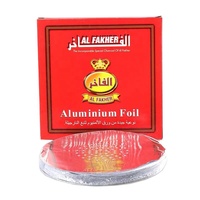 Charbon de coco en feuille, givré, portable, 50 pièces, petite boîte, pré-perforé avec trous, pour chicha, feuille d'aluminium chauffante