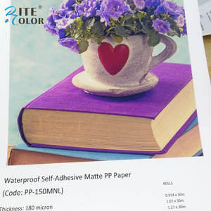 Giấy Tổng Hợp <span class=keywords><strong>PP</strong></span> Tự Dính Polypropylene Mờ 180Micron Để In - Product Image 5