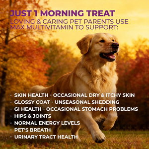 OEM/ODM MAX Hond Multivitamine Kauwtabletten Senioren & Volwassen Honden Vitaminen 10-in-1 Complex Ondersteuning voor Gewrichten & Immuniteit, Darm- & Huidgezondheid - Product Image 3