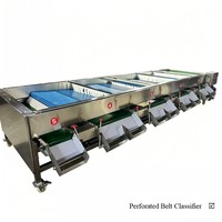 Citrus mango sorteermachine, industriële automatische rol sorteermachine voor fruit en groenten, roestvrij staal, hoge sterkte
