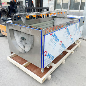 Đậu phộng, hạt dẻ nước, Khoai môn, củ sen, gừng lột và Máy làm sạch, thiết bị làm sạch - Product Image 4