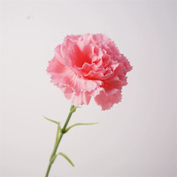 FL-996 Clavel Artificial de Alta Calidad, Flor Realista al Tacto, Centro de Mesa para el Hogar, Decoración para Bodas, Fiestas, Regalo para el Día de la Madre