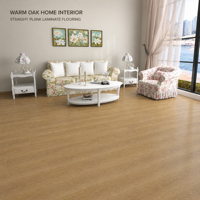 Plancher stratifié à surface légèrement embossée ENF, système de pose par clic, 1214 x 200, 10 mm, pour la rénovation de la maison, les projets de construction