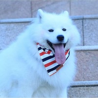 Bandana triangulaire pour animaux de compagnie (chats et chiens) en polyester, personnalisable avec logo imprimé, écologique, durable et doux, accessoire de festival de Noël