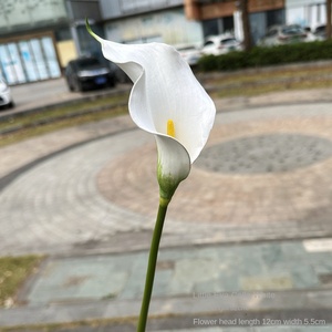 Nhỏ Nhân Tạo Trắng <span class=keywords><strong>Arum</strong></span> <span class=keywords><strong>Calla</strong></span> Lily mềm trang phục cưới trang trí nội thất thương mại nước ngoài sản phẩm - Product Image 2