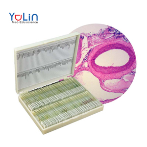 Custom Glass All <strong>Types</strong> <strong>of</strong> Microscope Prepared Slides Zoology Slides Glass Teaching Slides for Educational Use Teaching Science - Product Image 3