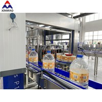 Machine d'étiquetage thermofusible linéaire XINMAO OPP de bon prix