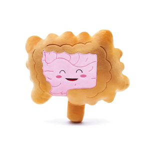 Dễ thương organ đồ chơi sang trọng dạ dày đồ chơi sang trọng mềm đáng yêu Gối trang trí phòng quà tặng cho trẻ em - Product Image 5