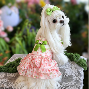 Robe de princesse légère pour <span class=keywords><strong>chien</strong></span> <span class=keywords><strong>Papillon</strong></span>, jupe tutu florale pour animaux de compagnie, pour chats et petits chiens, robe respirante pour <span class=keywords><strong>chiot</strong></span>, pour l'été, à porter au quotidien - Product Image 1