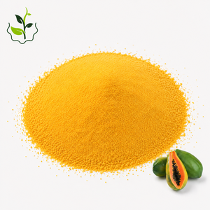 Natural Papaya Juice Powder 100% Pure Fruit Powder Rich in Vitamins for Beverage, <strong>Smoothie</strong>, Nutrition Supplement Health Products - Product Image 3