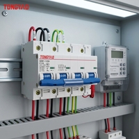 Disjoncteur miniature prépayé en cuivre GDB1-125S 1P+N Type C 230V 50Hz 10kA pour rail DIN