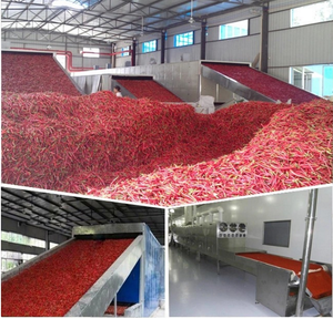 Multi Layer Conveyor Mesh Belt Dryer Pepper Conveyor Dryer Machine Food Dehydrator <strong>Drying</strong> <strong>Equipment</strong> - Product Image 5