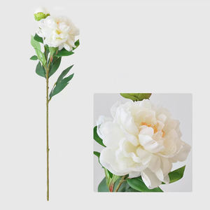 Pivoine en vrac rentable, solution pratique pour planificateur d'événements et <span class=keywords><strong>fleuriste</strong></span> - Product Image 6