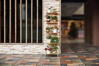 Support pour plantes à 5 niveaux présentoir pour plantes en bois présentoir à fleurs intérieur extérieur