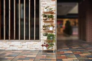 Supporto per <span class=keywords><strong>piante</strong></span> a 5 livelli espositore per <span class=keywords><strong>piante</strong></span> in legno espositore per fiori indoor Outdoor - Product Image 6