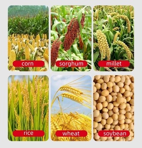 Mini batteuse multifonctionnelle de 800 kg/h pour maïs, blé, sorgho, soja, riz, <span class=keywords><strong>millet</strong></span>, colza - Product Image 5