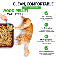 Litière pour chat en bois de pin à haute absorption, support OEM, naturelle, à base de plantes, contrôle des odeurs, sans poussière, biodégradable pour chats et chatons