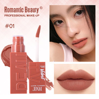 Gloss à lèvres liquide mat velours Romantic Beauty, rouge à lèvres longue tenue, non décolorant, maquillage pour les lèvres, logo personnalisé