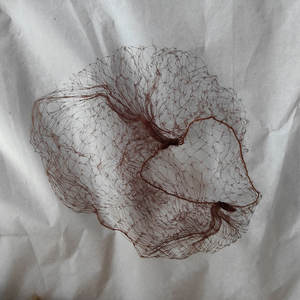 CJ886 28cm Red de pelo de nylon más popular Red de pelo negro Red de malla desechable - Product Image 4