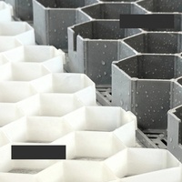 Grille de pavage en plastique pour aménagement paysager moderne, facile à assembler, pour jardin et allée, stabilisation du gravier des allées