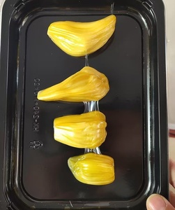 PP vật liệu nhựa khay thịt xiên cơ thể bao bì hộp cho thực phẩm và trái cây bao bì vỉ cho nông nghiệp sử dụng - Product Image 4