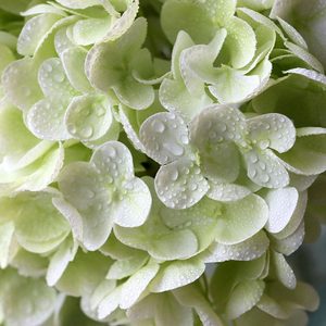Promise Factory Single Branch Hydrangea <strong>Artificial</strong> Hand <strong>Bouquet</strong> for Wedding Proposal Birthday Props - Product Image 4