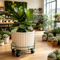 Plateaux de rangement modernes en fer, support pour plantes, noir, imperméable, écologique, durable, pour la maison, le salon, la cour, le restaurant, décoration