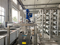 Sistema de Tratamiento de Agua Industrial con Filtración por Ósmosis Inversa para Procesamiento de Agua