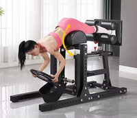 Chaise romaine robuste formation d'extension du dos abdominal Machine de flexion de levage de jambe inversée sujette