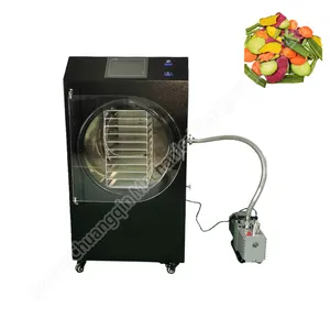 Freeze dryerno oil pump drying machine liquid lyophilizer machine equipment for freeze-dried vegetables