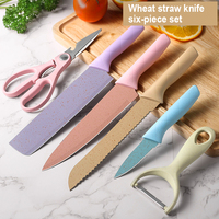 Ensemble de 6 couteaux de cuisine pour chef, ambidextres, durables, en acier inoxydable, lames à bord droit, manches en plastique, logos personnalisés
