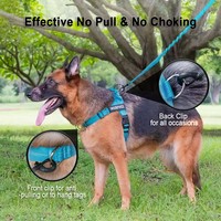 À la mode sans traction chien harnais pour animaux de compagnie harnais laisse ensemble respirant Nylon réfléchissant selle poitrine sangle Anti-évasion avec poignée