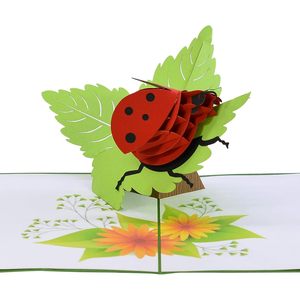 Ladybug Animal Shape 3D Pop-Up Birthday Card with Digital Printing and <b>Matte</b> <b>Varnishing</b> for Gift - Product Image 5