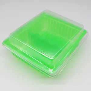 food grade vacuum formed plastic eco friendly plastic fruit packaging box wholesale