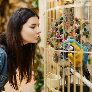 Medium Large Eco-Friendly Diamond Gray <strong>Parrot</strong> Bird <strong>Toy</strong> Hot-Selling Zanthoxylum Bungeanum Wooden Chewing Spot 2.5kg New Year's - Product Image 3