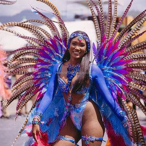 <span class=keywords><strong>Plumas</strong></span> de Faisán Anillado Blanqueadas y Teñidas al por Mayor, <span class=keywords><strong>Plumas</strong></span> de Cola para Decoración de Fiestas de Carnaval - Product Image 5