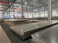 Plaques en acier au carbone robustes - Dimensions personnalisées, finition anti-corrosion pour les applications industrielles aux Émirats arabes unis et en Arabie Saoudite