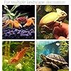 Roccia da nascondiglio per acquario, perfetta per piccoli pesci e gamberetti per abitare, giocare e riposare. Decorazione per acquario in resina sicura e non tossica - Product Image 4