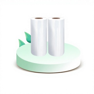 Film étirable pour usage agricole <span class=keywords><strong>PE</strong></span> <span class=keywords><strong>50</strong></span> cm de large, film d'emballage pour palettes, fabricant Shandong, modèle JYBZ3001 [Source Factory] - Product Image 1