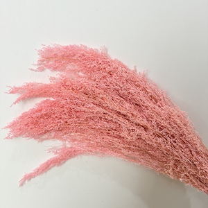 Hoa trang trí Artemisia giraldii pamp bảo quản hoa khô Gạo dương xỉ cho trang trí đám cưới - Product Image 6