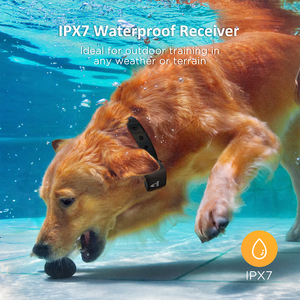 Collar de entrenamiento para perros Collares de entrenamiento impermeables para 2 perros con control remoto Recargable 3 modos de entrenamiento - Product Image 4