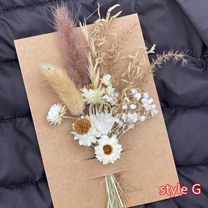 Ramos de Pampas Secas Personalizados en Oferta, Ramilletes de Pampas Secas Pequeños y Mini para Arreglos Decorativos del Día de San Valentín - Product Image 5