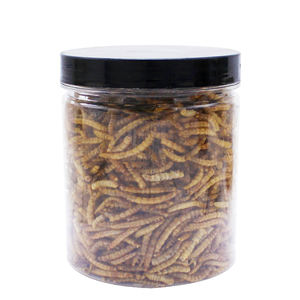 Yüksek Protein Mealworms vahşi kuş, tavuk, ördek, balık, sürüngen, kaplumbağa, amfibi, kertenkele - Product Image 4
