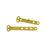 Système de plaques orthopédiques vétérinaires ALPS Mini découpables et verrouillables (Titane) Certifié CE 1,1 mm Classe III