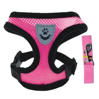 Harnais de traction pour chien et chat en nylon anti-explosion, sangle de poitrine, fournitures d'extérieur en gros