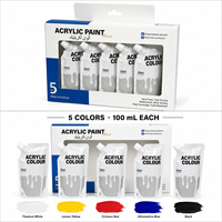 Peinture acrylique ZANERAY 100 ml, 5 couleurs, vente en gros, pratique à utiliser en petits paquets, kit de peinture pour artistes et enfants