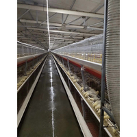 Cages de pontage automatiques en acier galvanisé de type H pour poules pondeuses – Équipement avicole entièrement automatique et flexible
